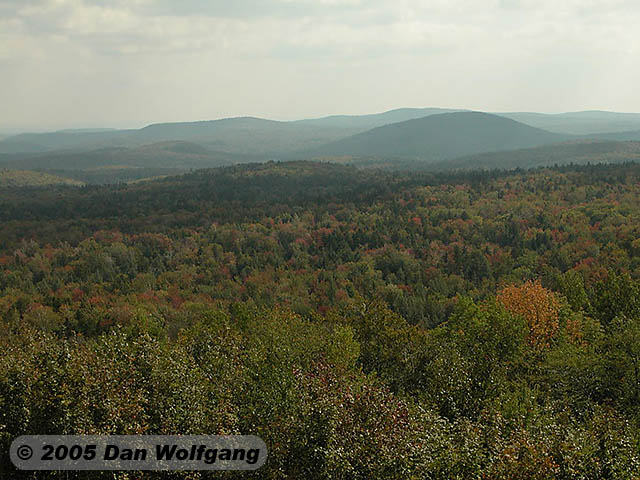 Trees and Mountains