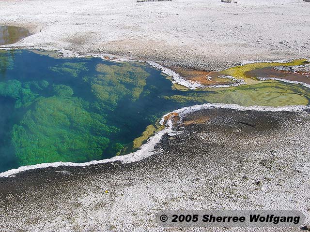 Hot Springs at West Thumbs