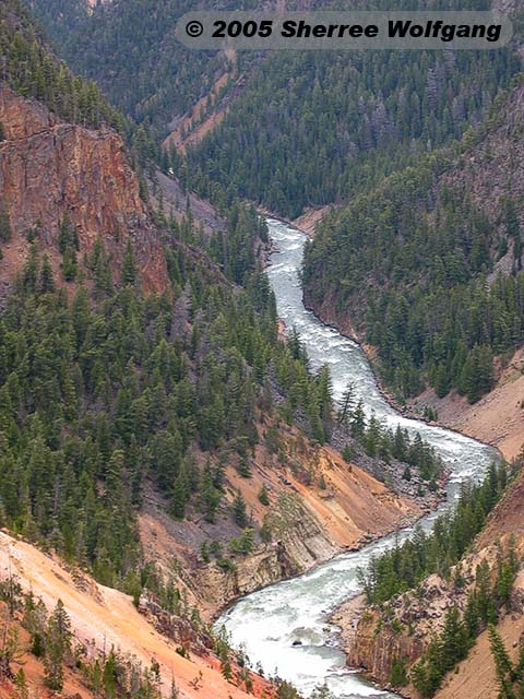 The Grand Canyon of Yellowstone