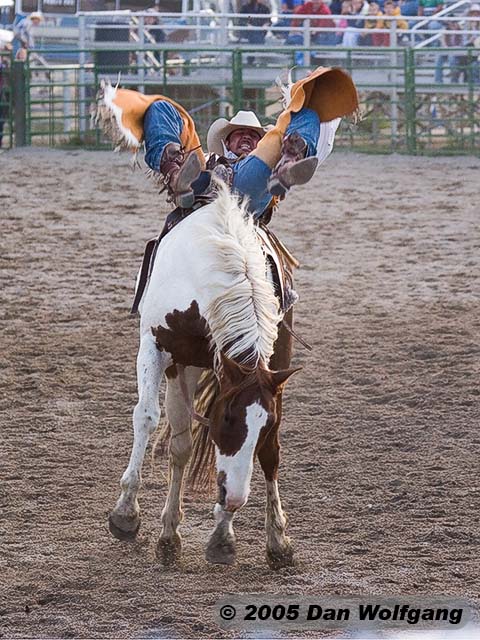 2 Jackson Hole Rodeo