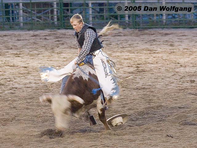 4 Jackson Hole Rodeo