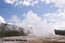 Old Faithful