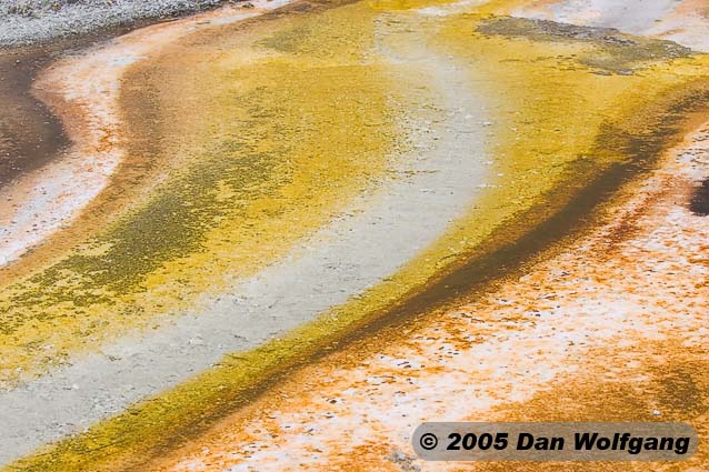 1 Hot Spring Color Close-Up