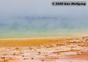 2 Hot Spring Color Close-Up