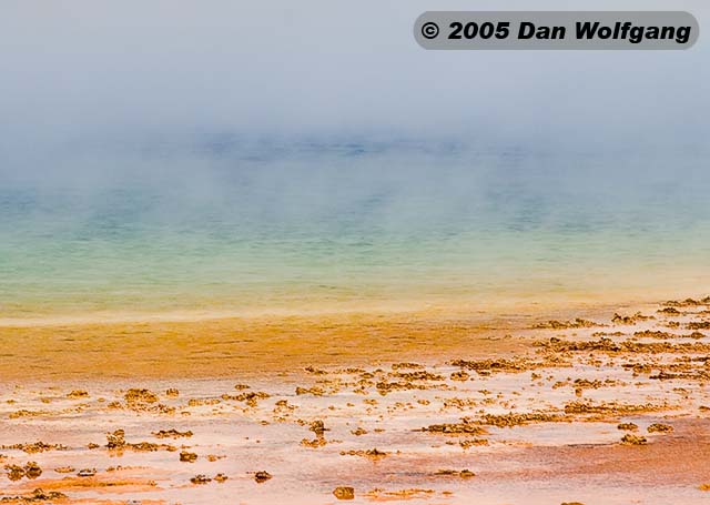 2 Hot Spring Color Close-Up