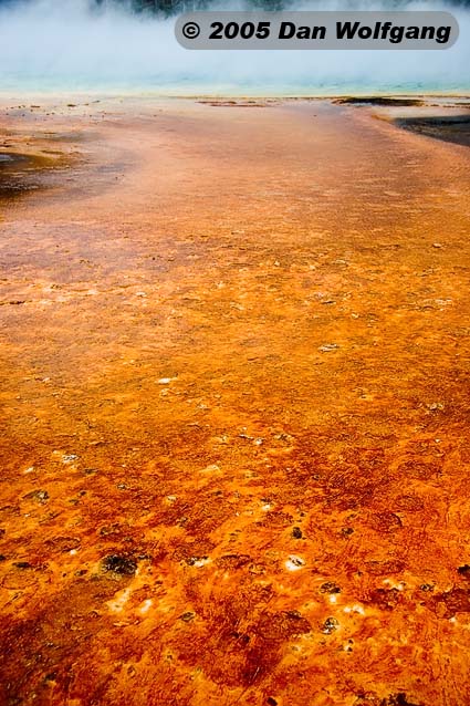 3 Hot Spring Color Close-Up