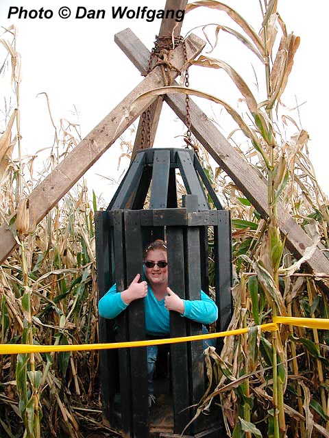 Sherree's Locked Up
