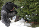 Christmas (2 of 28).jpg