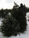 Christmas (3 of 28).jpg