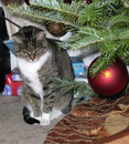 Christmas (17 of 28).jpg