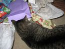 Christmas (18 of 28).jpg