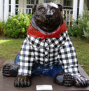 Bear Affair (20 of 51).jpg