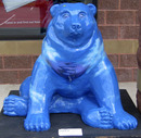Bear Affair (7 of 51).jpg